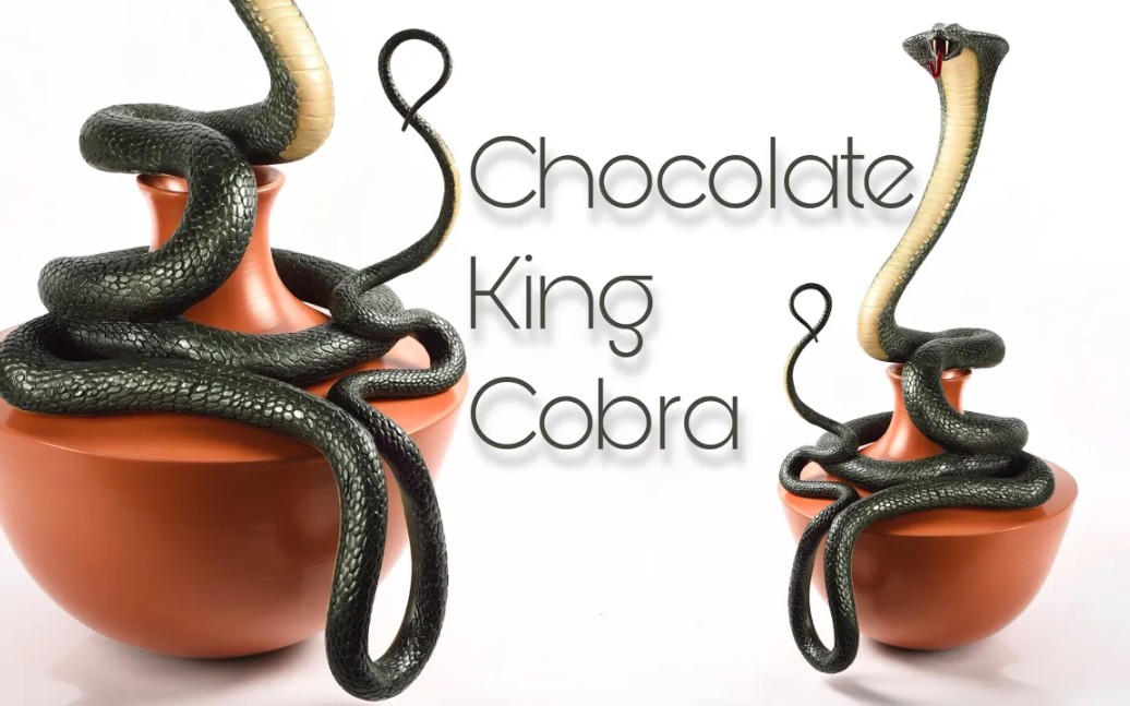 【法式甜点师amaury guichon】巧克力眼镜王蛇