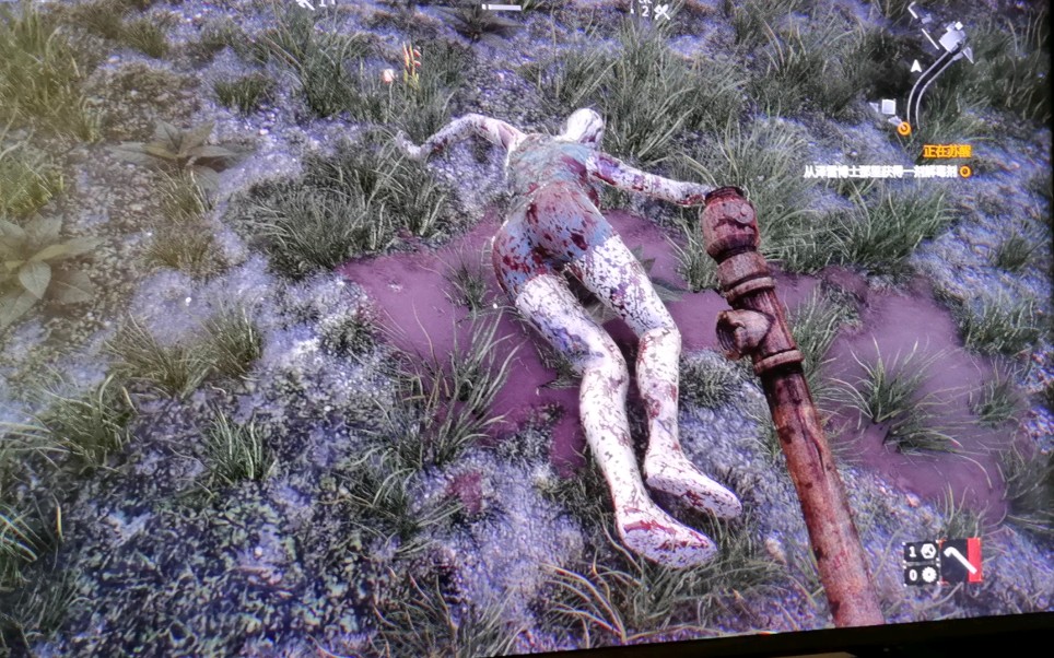 消逝的光芒:性感的丧尸.