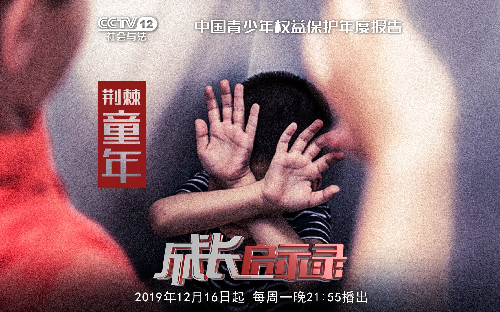 【成长启示录④】未成年人家庭暴力调查
