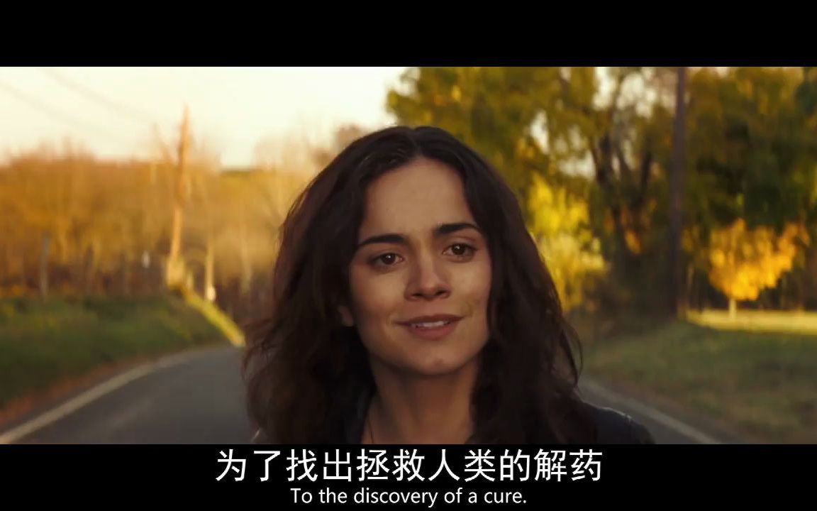 我是传奇(双结局版).1080p.国英双语 (3)哔哩哔哩bilibili