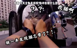 Download Video: 【薛三万】小姐姐：猫忘带了 我：猫？什么猫！