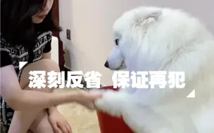 Tải video: 我爸说，跟女人认错态度要诚恳，不能顶嘴