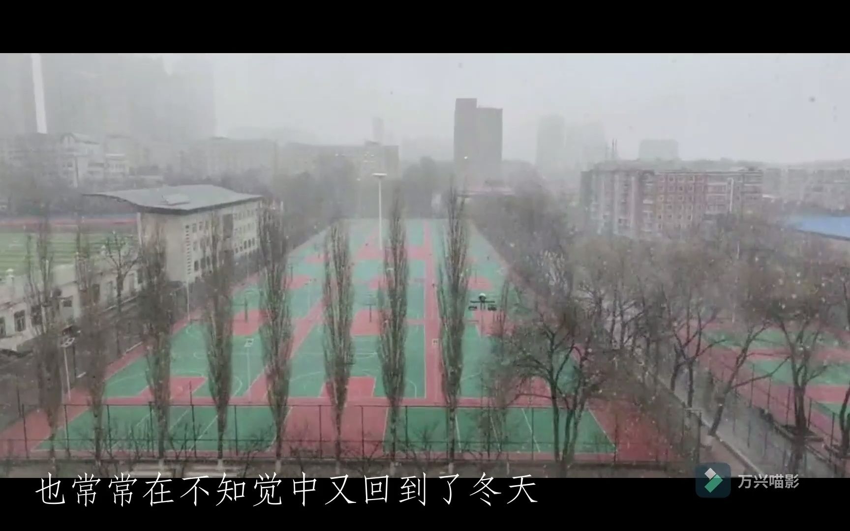 风里飘雪的花,在记忆之中发芽~哔哩哔哩bilibili