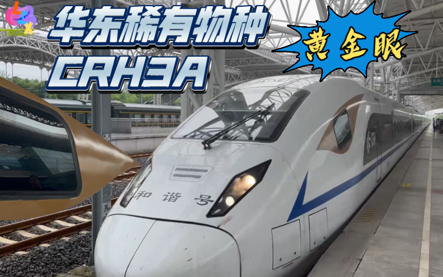 【华东稀有CRH3A黄金眼】动力不足?CRH3A型重联担当D2206次列车哔哩哔哩bilibili