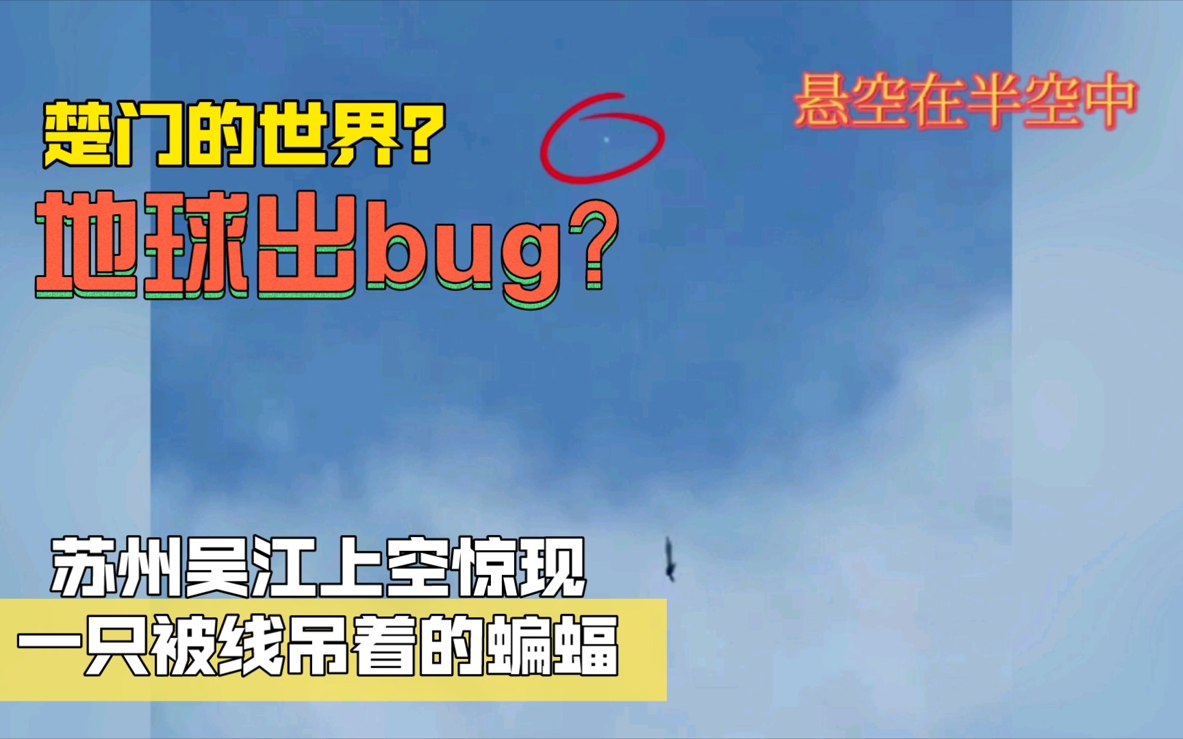 【地球出bug了?】7月23日,苏州吴江天空中惊现一只被线吊着的蝙蝠.哔哩哔哩bilibili