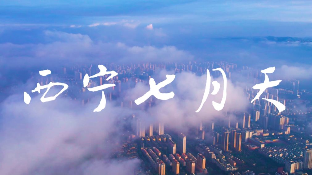 来西宁，过一回从容的夏天