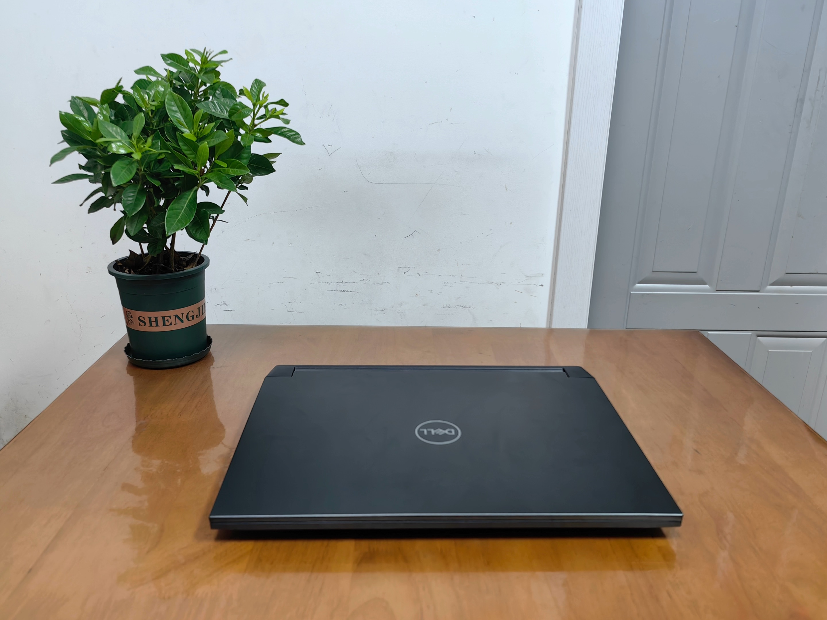 2025年1月15日 鉴赏一下 5380米 98成新 戴尔