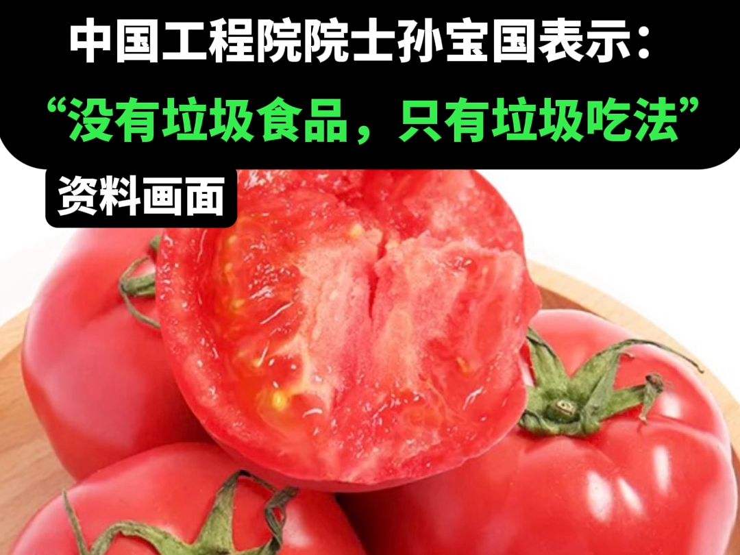 中国工程院院士孙宝国表示: “没有垃圾食品,只有垃圾吃法”哔哩哔哩bilibili