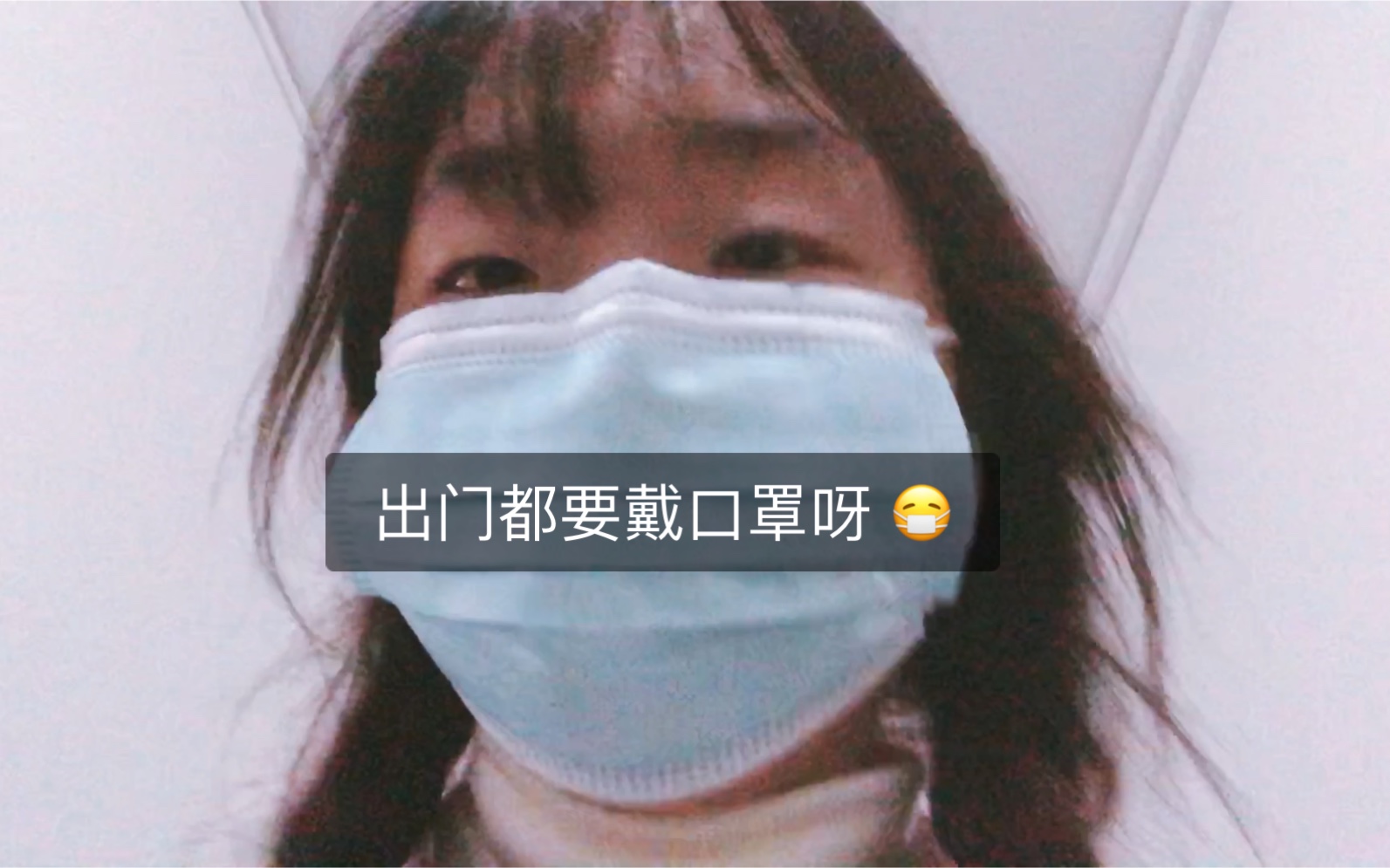 小象的简单生活哔哩哔哩bilibili