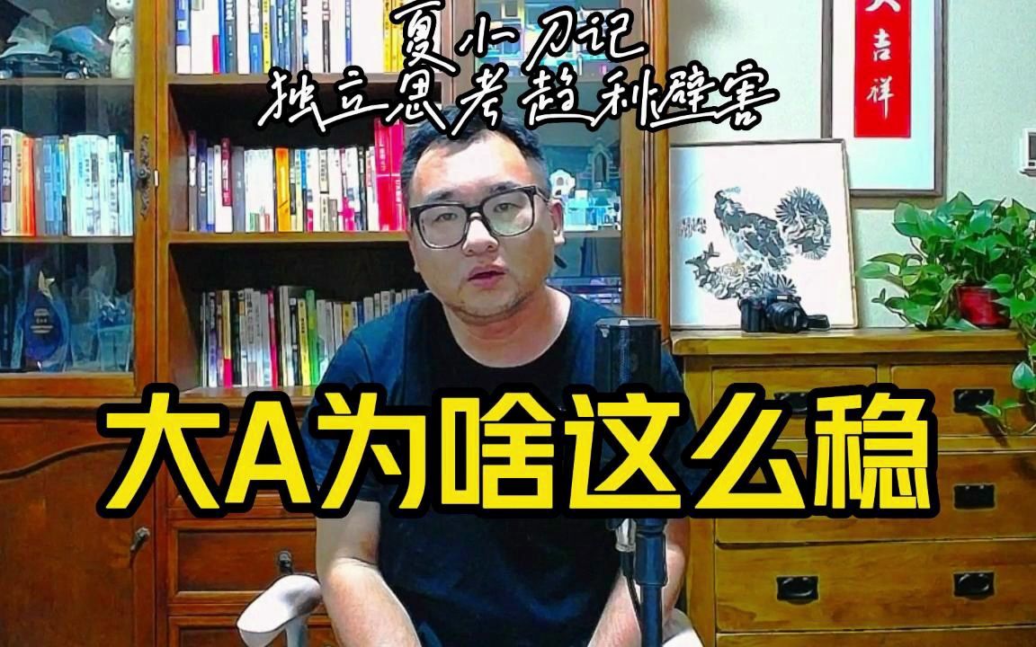 大A为啥多年这么稳?没有做空机制?国有资产不能流失?IPO多了?别听胡锡进忽悠哔哩哔哩bilibili