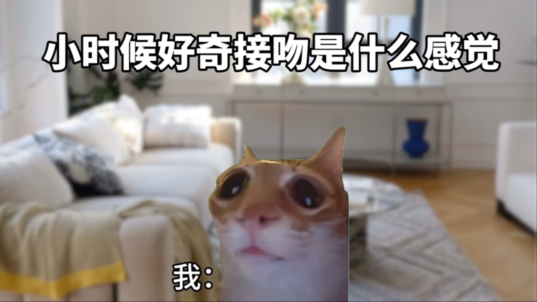 我弟弟居然是个小气鬼!-猫meme小剧场江笑笑-猫meme小剧场江笑笑-哔哩哔哩视频