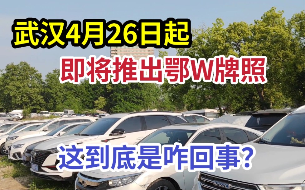 4月26日起武汉将推出鄂W牌照,有车的朋友有福了,快看看这咋回事哔哩哔哩bilibili