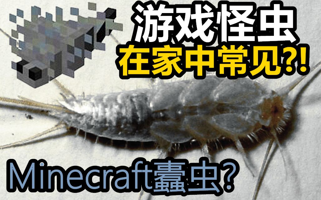 【家栖昆虫系列】《我的世界》中怪物的原型 居然就藏在你家的衣橱里？还是活化石？！海报