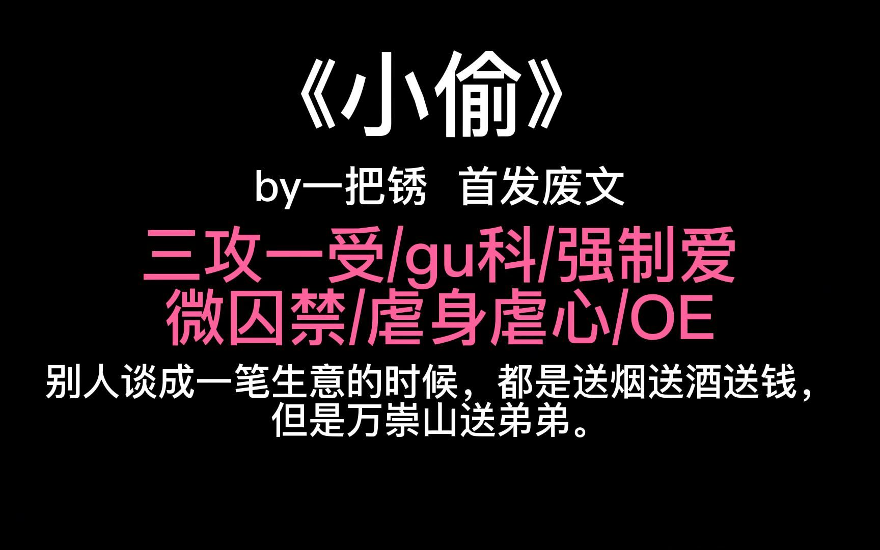 【原耽推文】小偷by一把锈/强制爱/虐身虐心/gu科/q禁哔哩哔哩bilibili