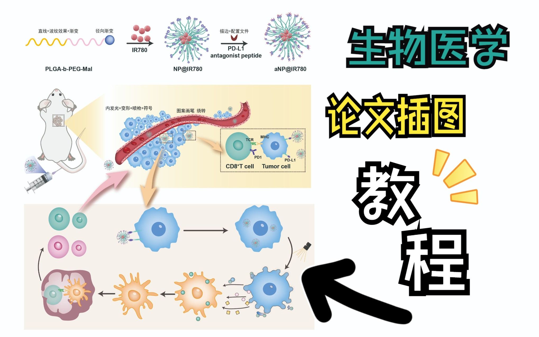 ai科研繪圖-生物醫學論文插圖仿畫教程1_嗶哩嗶哩_bilibili