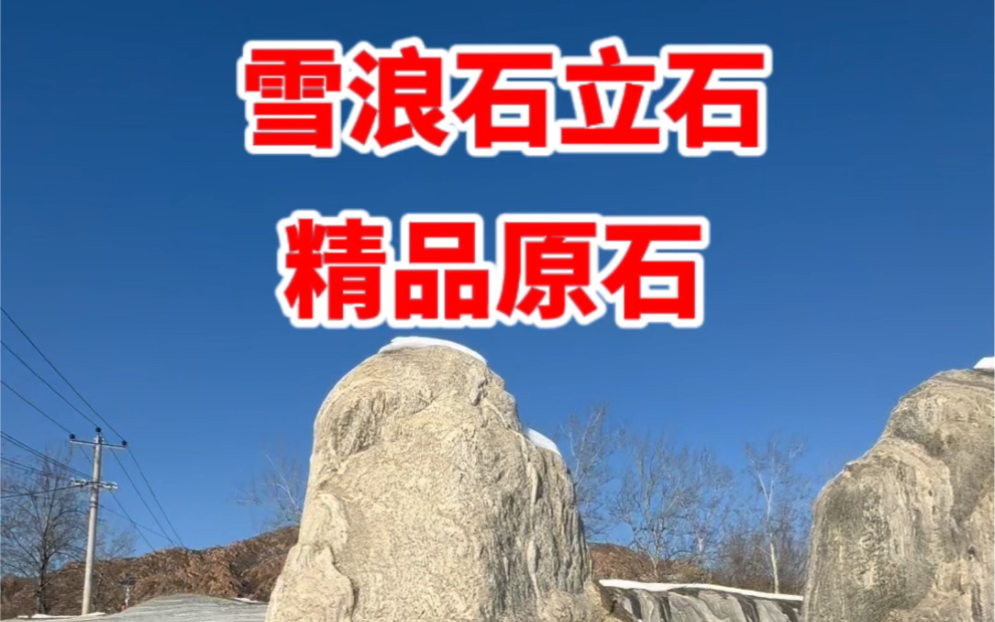 雪浪石立石精品原石!