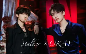 Download Video: Stalker窥探者 x OKAY Remix | 银河系闪耀星