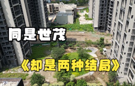 佛山楼市:同是世茂旗下项目,一个高调复工,一个交楼却一延再延,这是为什么?哔哩哔哩bilibili