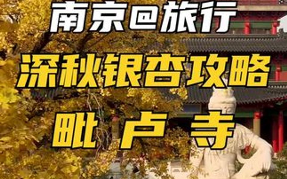 趁着银杏还没落光,到毗卢寺逛逛吧哔哩哔哩bilibili