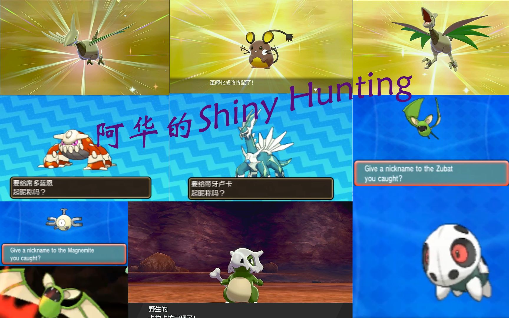 【阿华のShiny Hunting】两天10闪!阿华又当狗托啦!哔哩哔哩bilibili