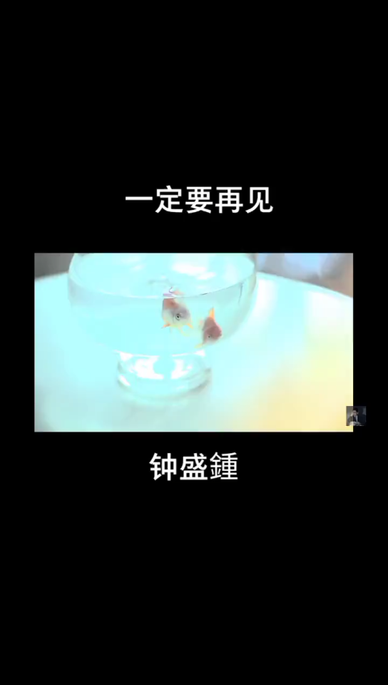 复淛此链接,打鐦Dou音搜索,直接观kan视频!哔哩哔哩bilibili