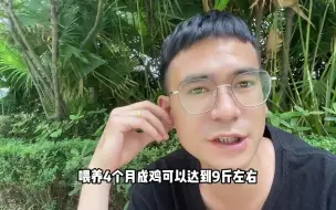 Скачать видео: 新手养什么鸡最好？云贵川地区养殖户都养它，好养也畅销