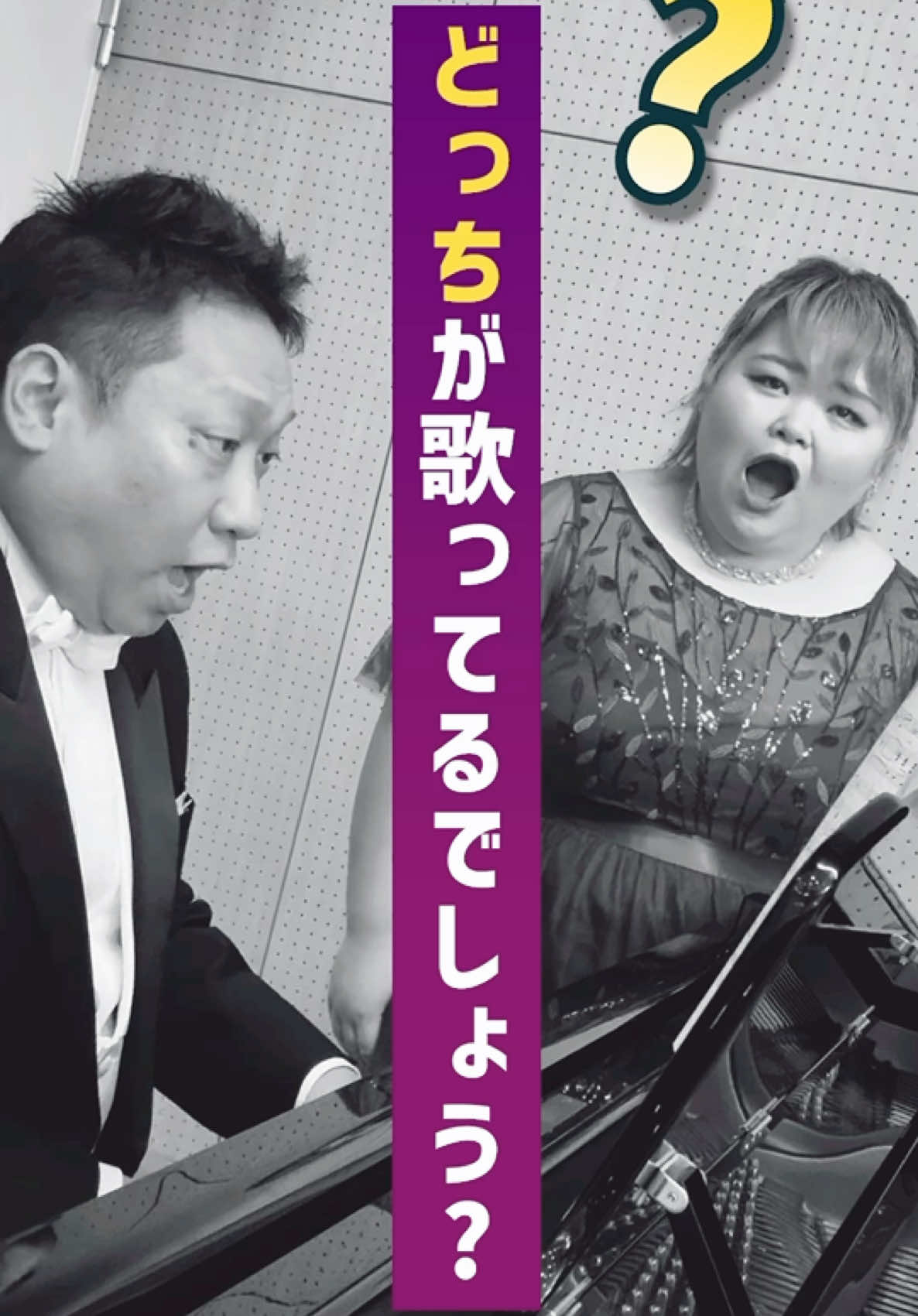 歌曲集(付豪的全部歌曲集)