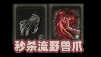 Descargar video: 【艾尔登法环】幽影地魅魔！一爪秒杀强吻流 [野兽爪] 夺命拳铁皮人入侵