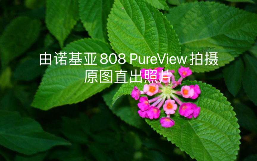 诺基亚808PureView专业模式3400万像素直出哔哩哔哩bilibili