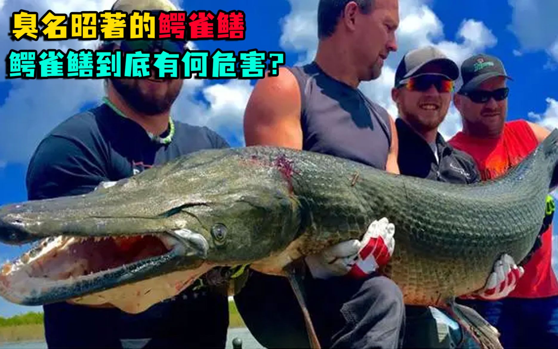 抽干整个湖水,只为抓到一条鱼,入侵物种鳄雀鳝有多凶猛