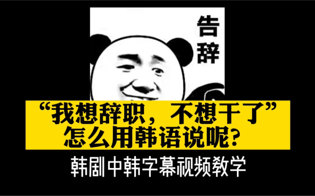 看韩剧学韩语 “我想辞职不想干了”怎么用韩语说呢? | 韩语口语 | 韩剧中韩双语字幕视频教学哔哩哔哩bilibili