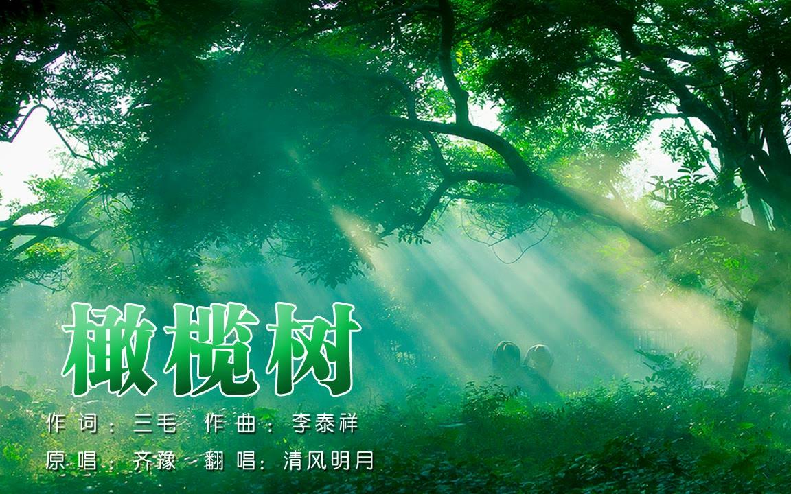 [图]《橄榄树》不要问我从哪里来 我的故乡在远方 华语金曲 清风明月翻唱