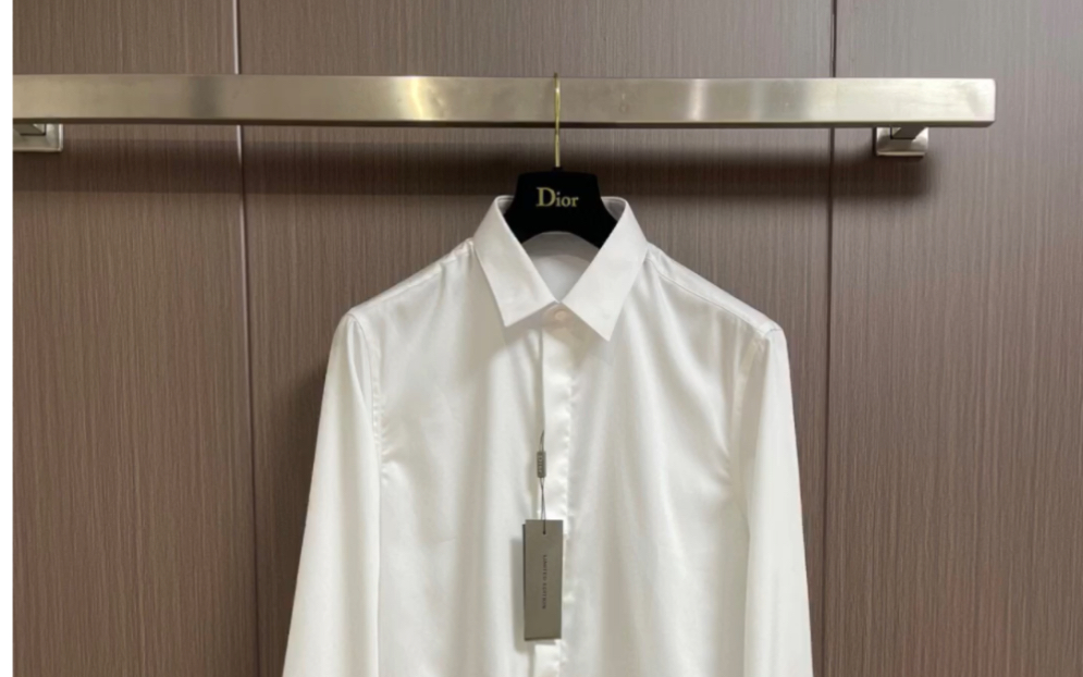 dior迪奥高仿小蜜蜂logo刺绣长袖衬衫