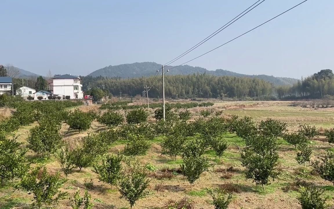 『乡村风光』风景美如画!大山里的原生态哔哩哔哩bilibili