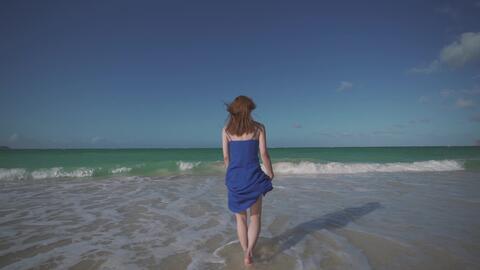 夏威夷节 长冈花火 Waikiki Beach Fireworks 哔哩哔哩 Bilibili