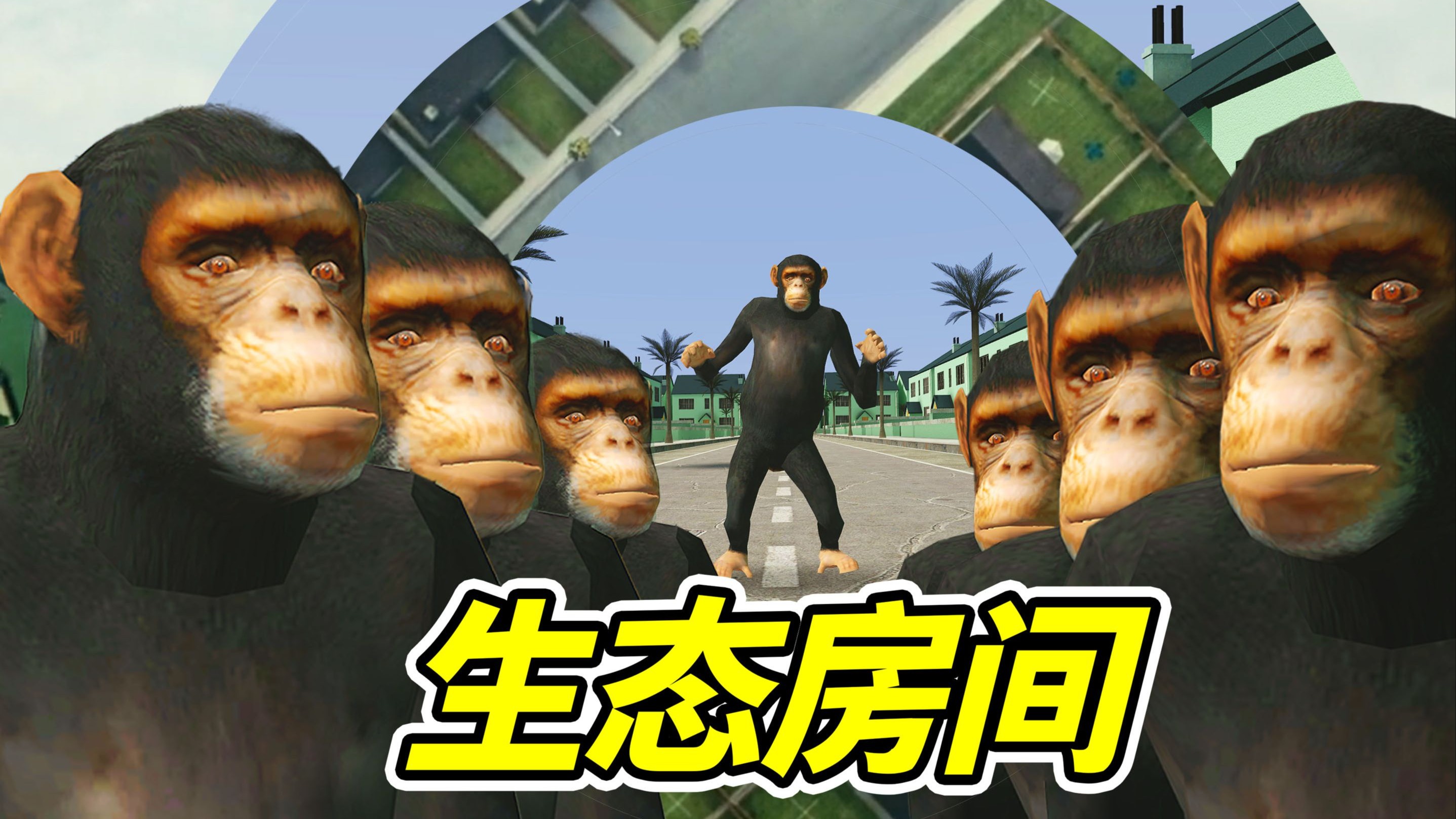 无限循环，白色生态箱？--勾魂公狒狒---勾魂公狒狒--哔哩哔哩视频