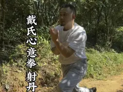 Download Video: 丹田功宝藏，心意六合门道家内功（搬丹田、活步射丹田、活步砸丹田），调节阴阳，强内壮外，补元气固元精壮元神，简单易学，实乃强肾筑基脱胎换骨之功法。