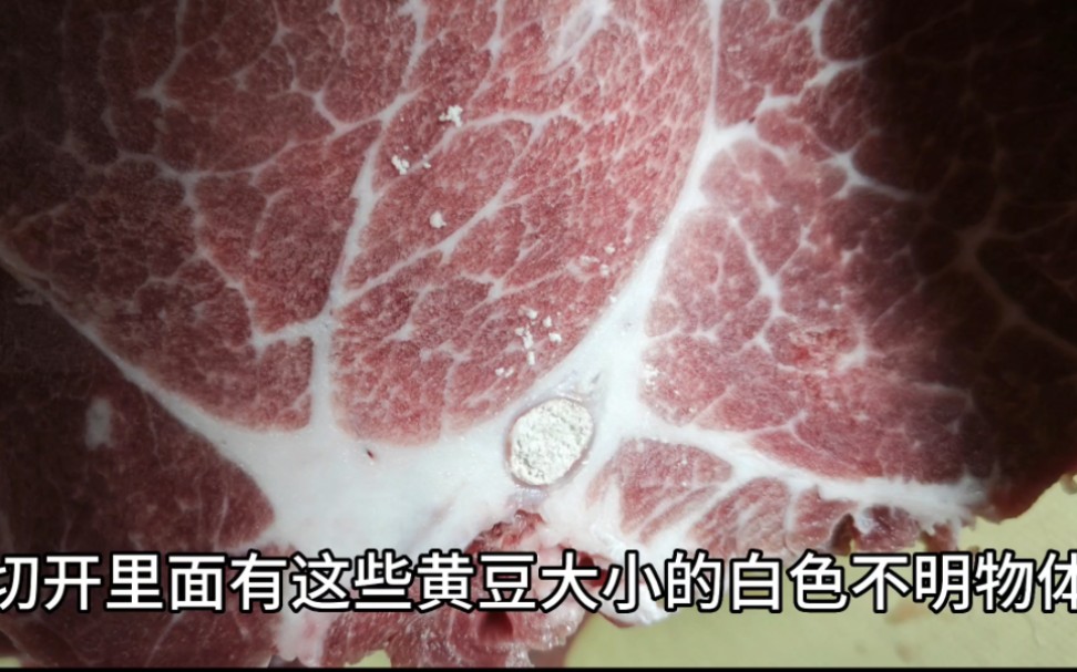 网上买的牛肉,里面有白色不明物体,有没有人知道这是什么东西哔哩哔哩bilibili