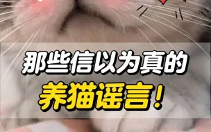 Download Video: 那些一直被信以为真的猫咪谣言