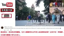 Скачать видео: 老外看印度男子强奸蜥蜴被捕，各国网友绷不住了