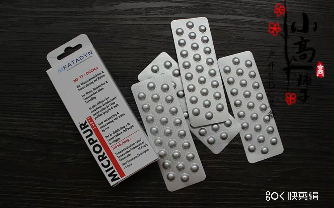 抗洪抗疫 瑞士康迪 katadyn 净水片户外野外求生直饮除菌消毒药片