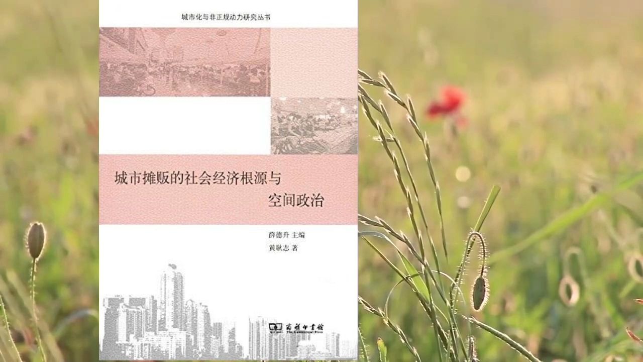 [图]解读书籍《城市摊贩的社会经济根源与空间政治》