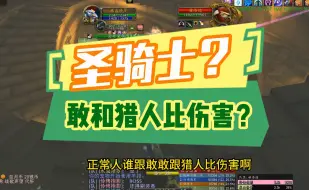 Download Video: 【魔兽世界PLUS】圣骑士敢吹牛和近战猎人比伤害了？倒反天罡