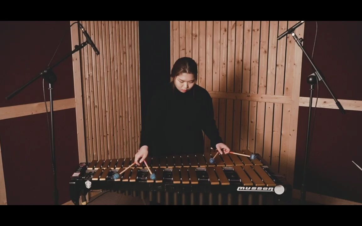 [图]Soaring in the sky by Jan Freicher (Vibraphone solo)