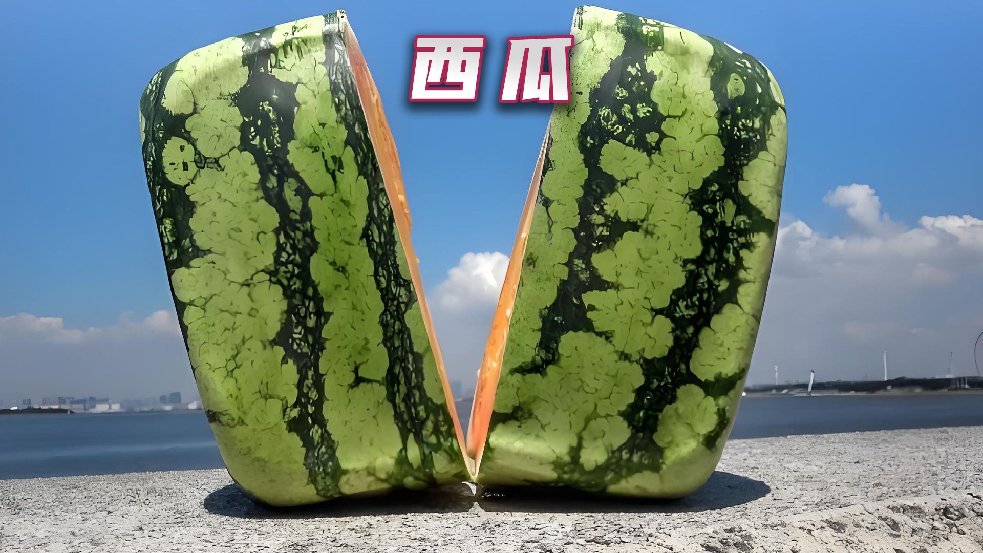 正方形西瓜与爱心形状的西瓜