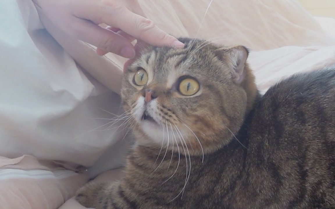 【creamheroes】【中字】lulu太可爱了,忍不住用零食逗他kkk