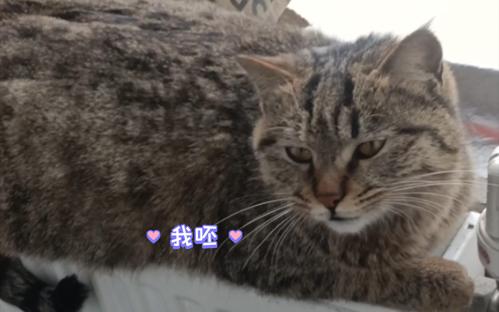 暖气上位:有床不睡的秘密!下次多带点好吃的