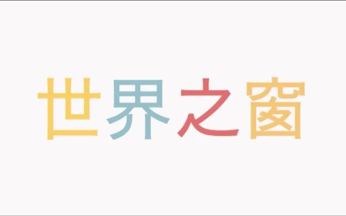 【世界之窗】你知道在纽约的人们会说600多种语言吗?今天我们聊一聊纽约文化的多样性哔哩哔哩bilibili