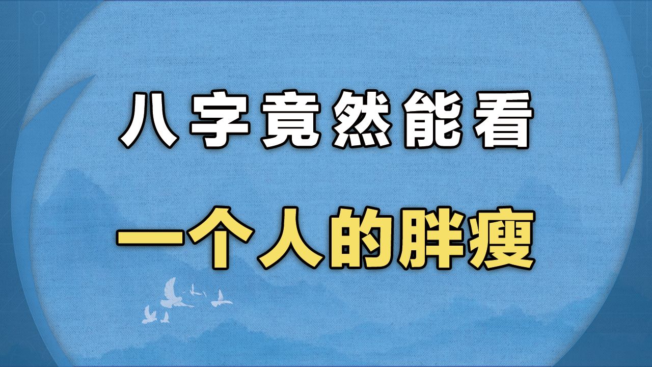 八字竟然能看 一个人的胖瘦哔哩哔哩bilibili