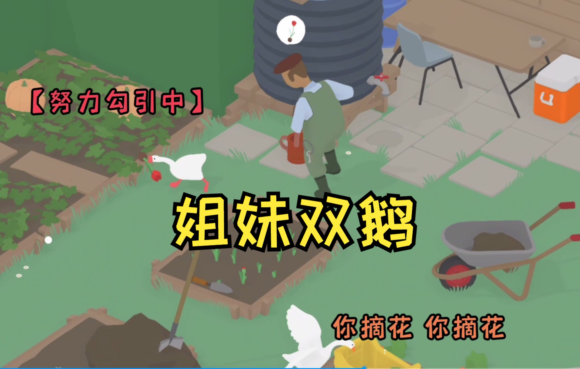 [图]【小鱼怪】花园里的姐妹双鹅+《Untitled Goose Game 鹅作剧》第一关极简攻略